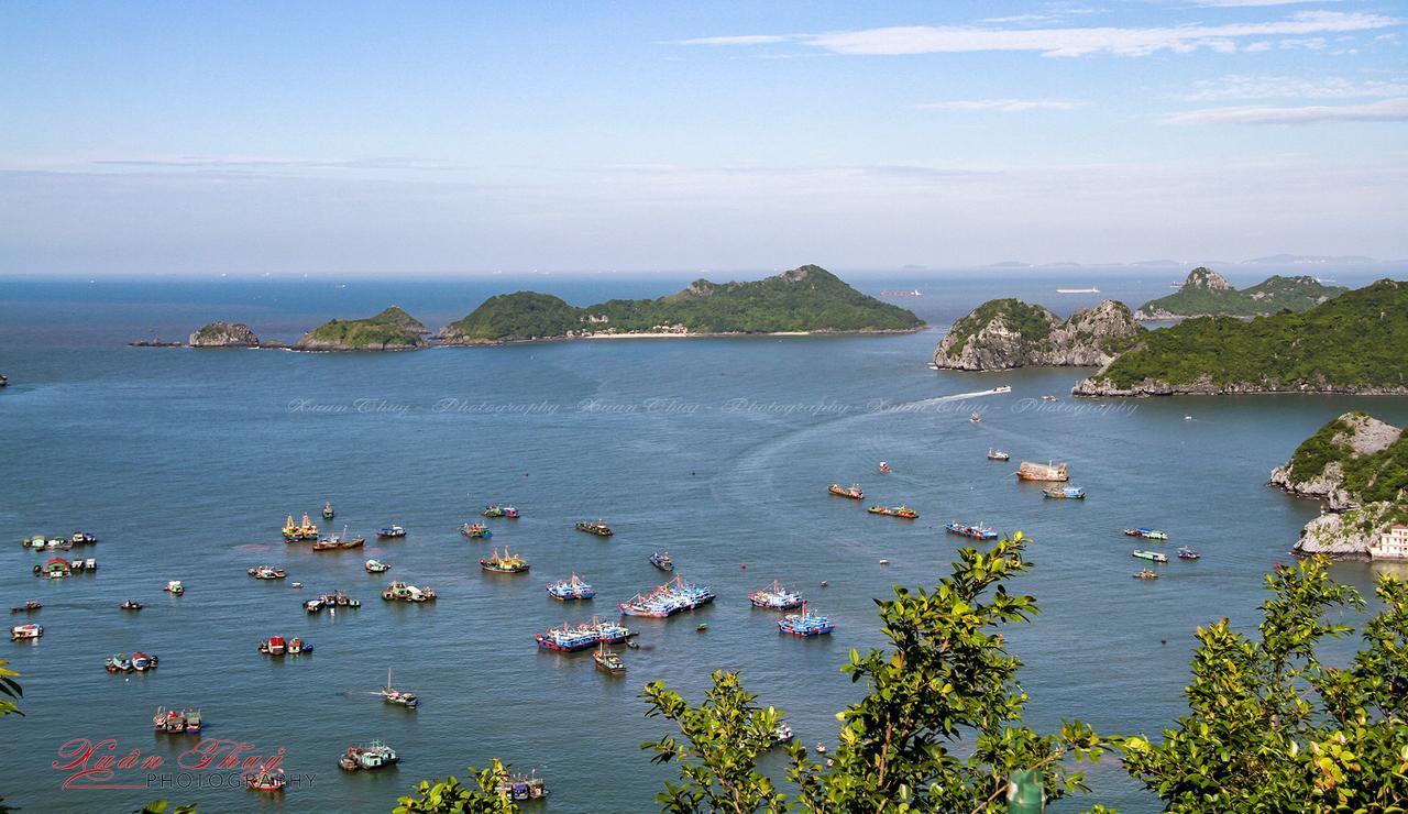Cat Ba Hostel Cat Ba Island Exterior foto