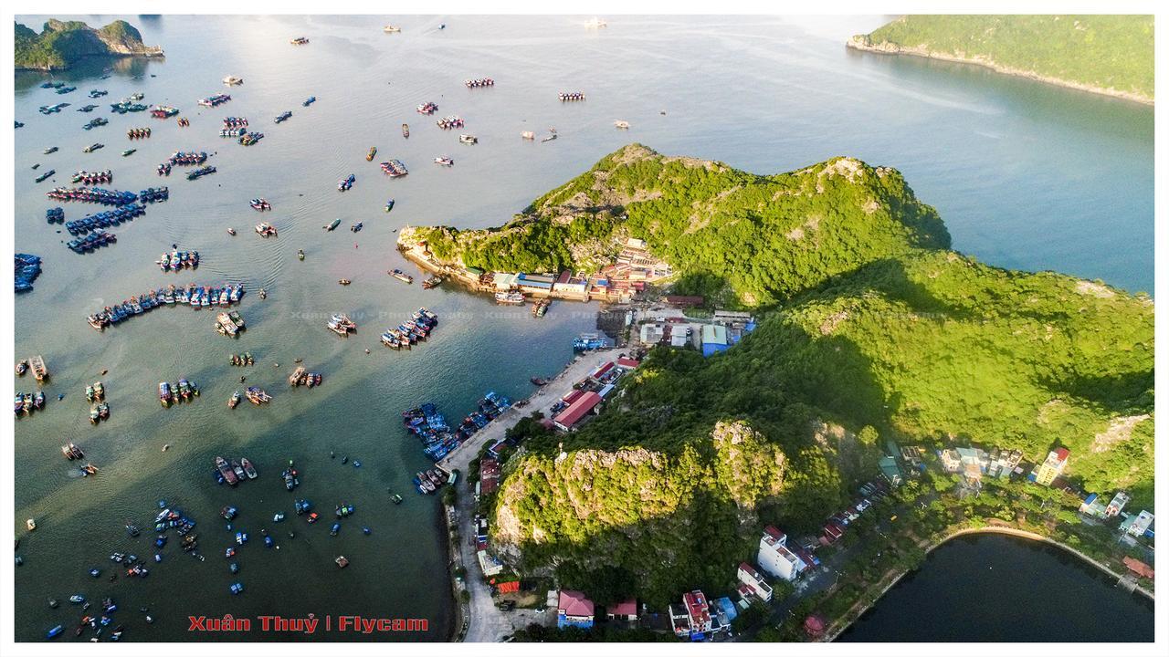 Cat Ba Hostel Cat Ba Island Exterior foto